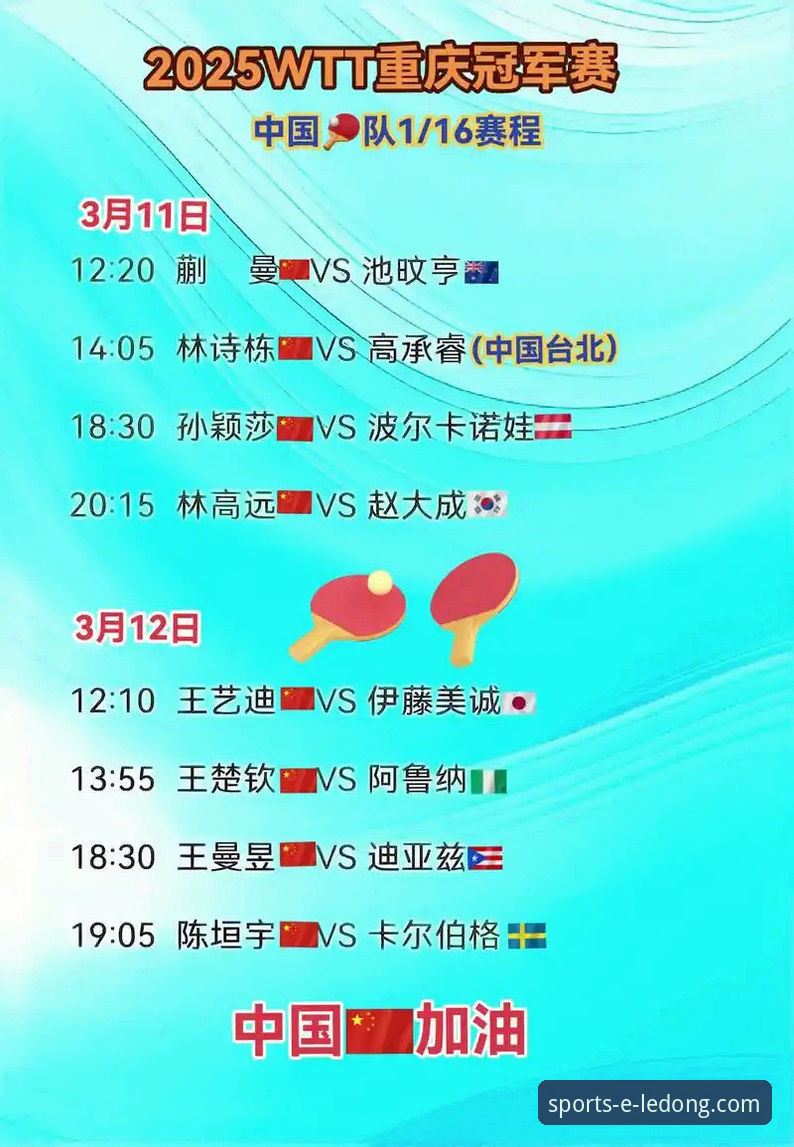 在乐动体育平台入口官网入口，深度复盘WTT重庆冠军赛决赛的完整指南